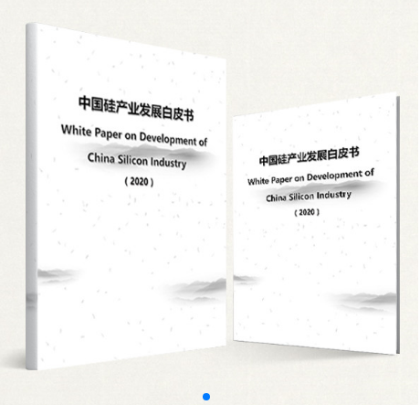 （2020版）中国硅产业发展白皮书